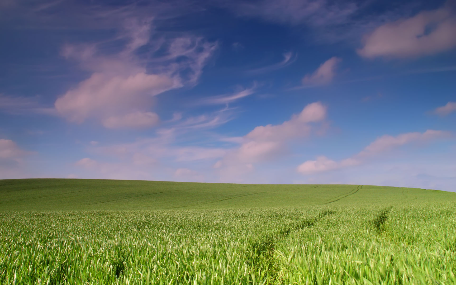 desktop_field_sky_swirly_wheat_landscapes_background_wallpaper_578.jpg